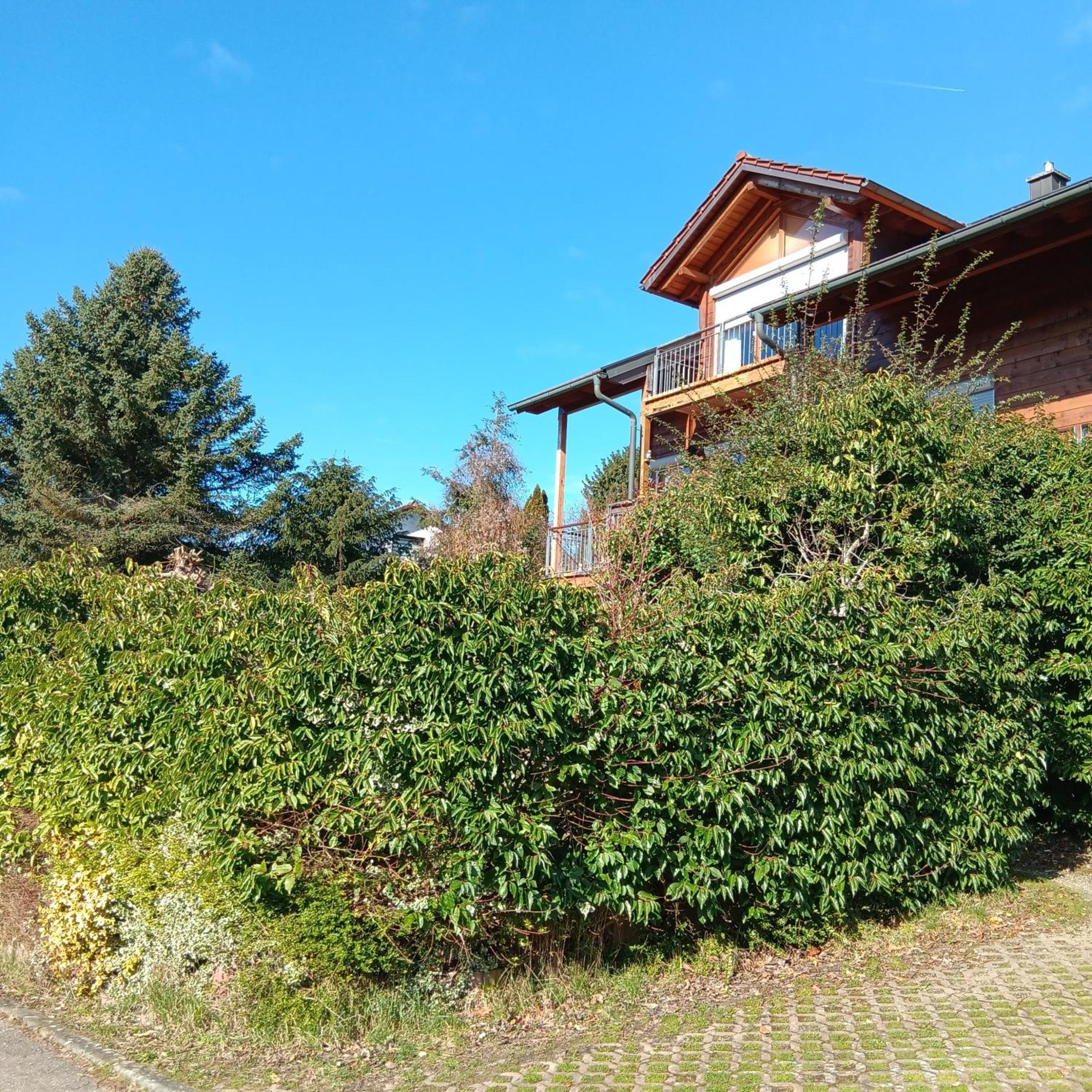 Gartenapartment Auf Der Hoeri In Wangen Ohningen Dış mekan fotoğraf